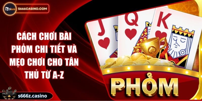 Cách Chơi Bài Phỏm Chi Tiết Và Mẹo Chơi Cho Tân Thủ Từ A-Z