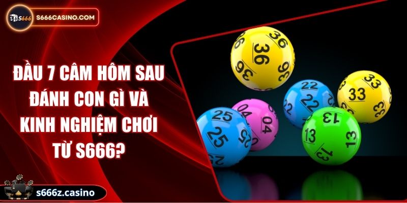 Đầu 7 Câm Hôm Sau Đánh Con Gì Và Kinh Nghiệm Chơi Từ S666?