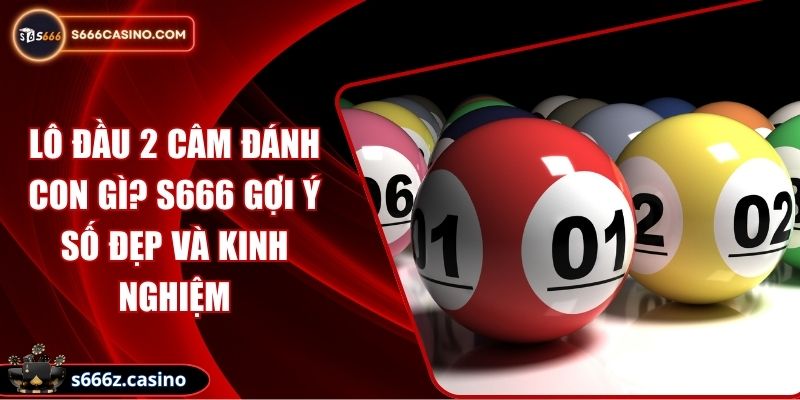 Lô Đầu 2 Câm Đánh Con Gì? S666 Gợi Ý Số Đẹp Và Kinh Nghiệm