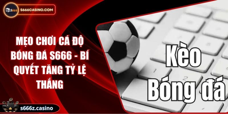 Mẹo Chơi Cá Độ Bóng Đá S666 - Bí Quyết Tăng Tỷ Lệ Thắng